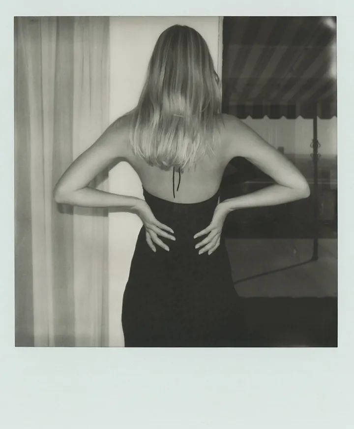 Réalisation Par Dresses^The Electra - Jungle
